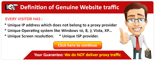 Definition of Genuine Website Traffic